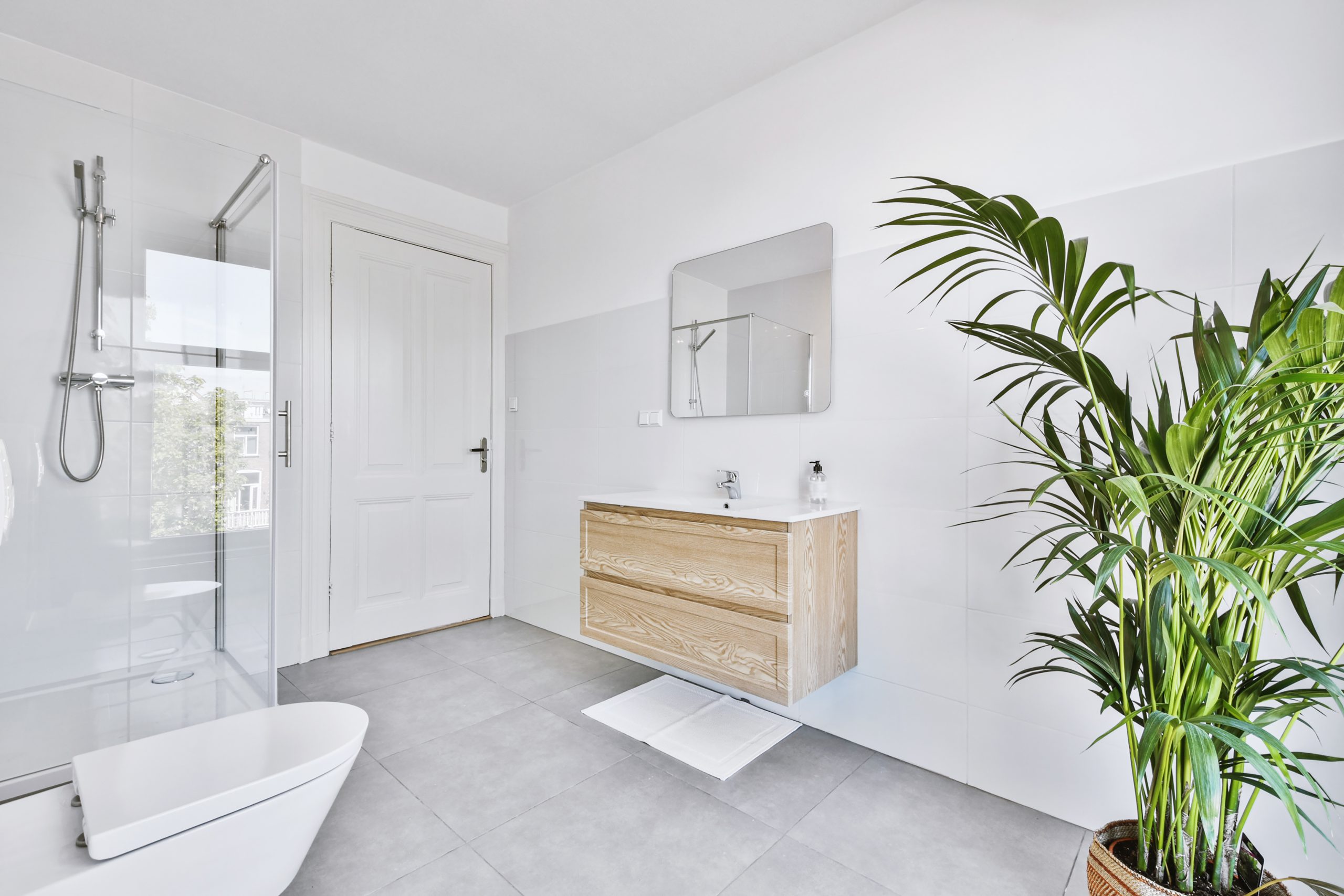 Interior of bathroom with plant