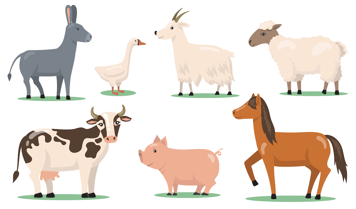 Various animals and pets on farm flat clipart set